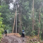 Expansión eléctrica en Punta Mala con enfoque sostenible