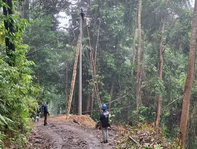 Expansión eléctrica en Punta Mala con enfoque sostenible