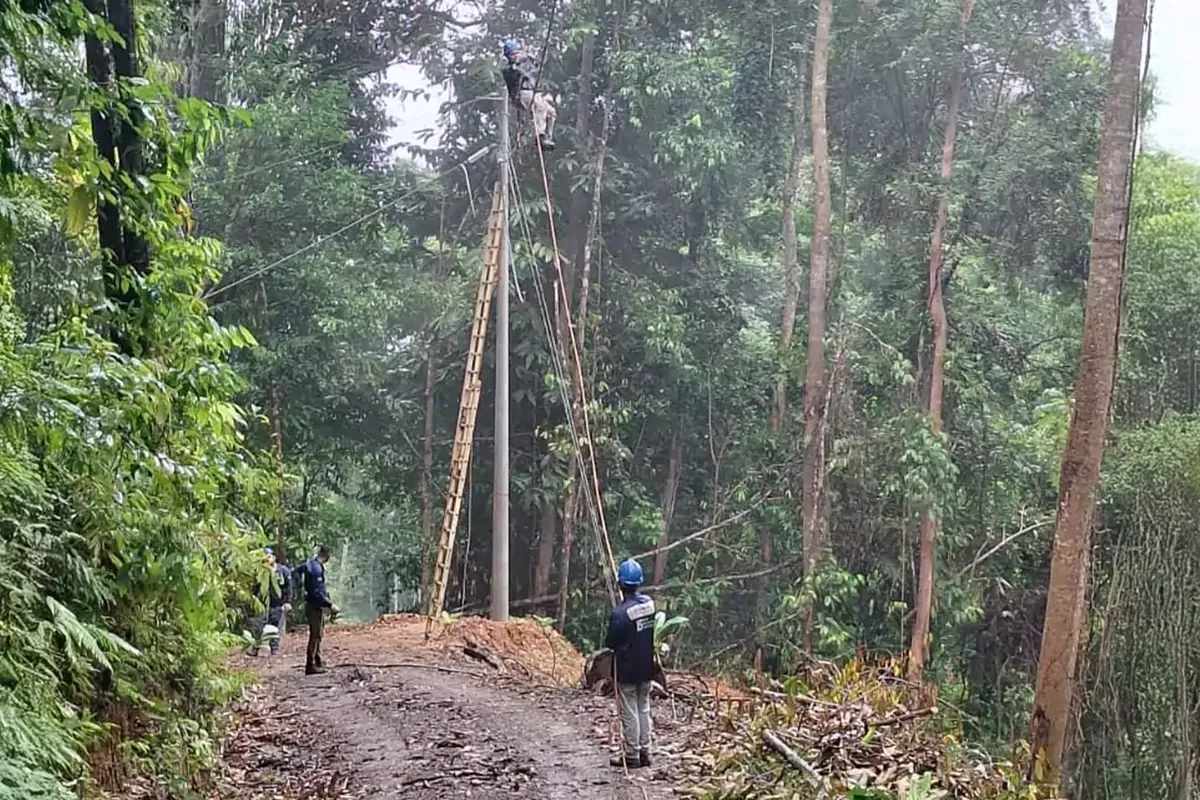 Expansión eléctrica en Punta Mala con enfoque sostenible