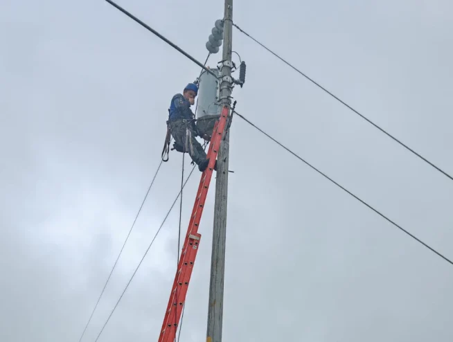 ¿Qué implica la instalación de líneas eléctricas de alta tensión en Costa Rica?